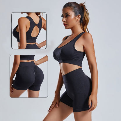 Sapphire Gym Fit - Box